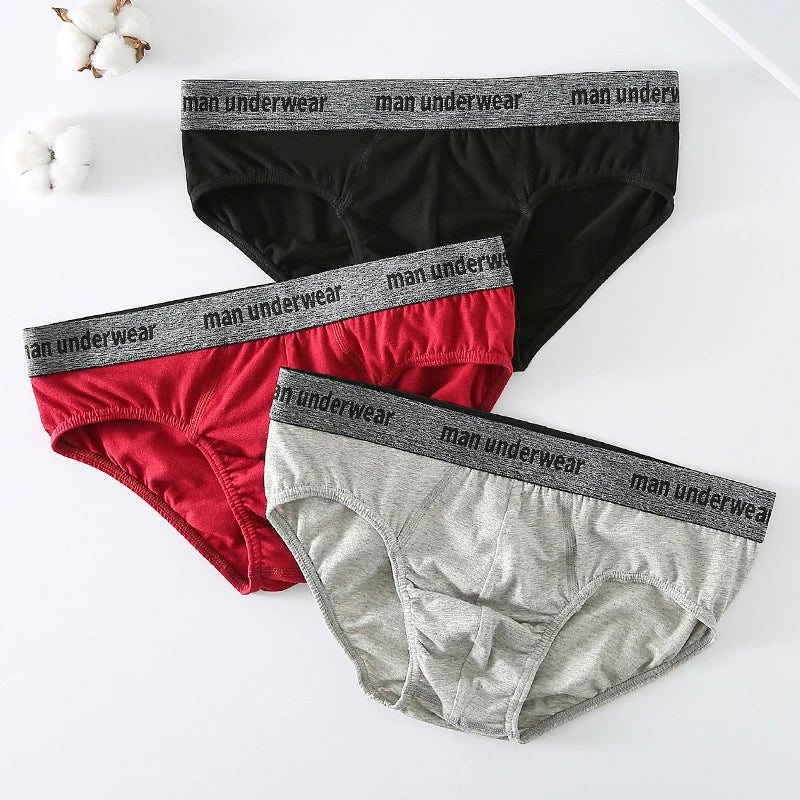 Cardinal Haven 3 Pcs Cotton Mens Briefs | Hypoallergenic - Allergy Friendly - Naturally Free