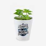 Always Moving, Always Evolving Quote Ceramic Flower Pot