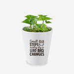 Small Steps Every Day Lead To Big Changes Quote Ceramic Flower Pot