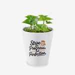 Strive For Progress, Not Perfection Quote Ceramic Flower Pot