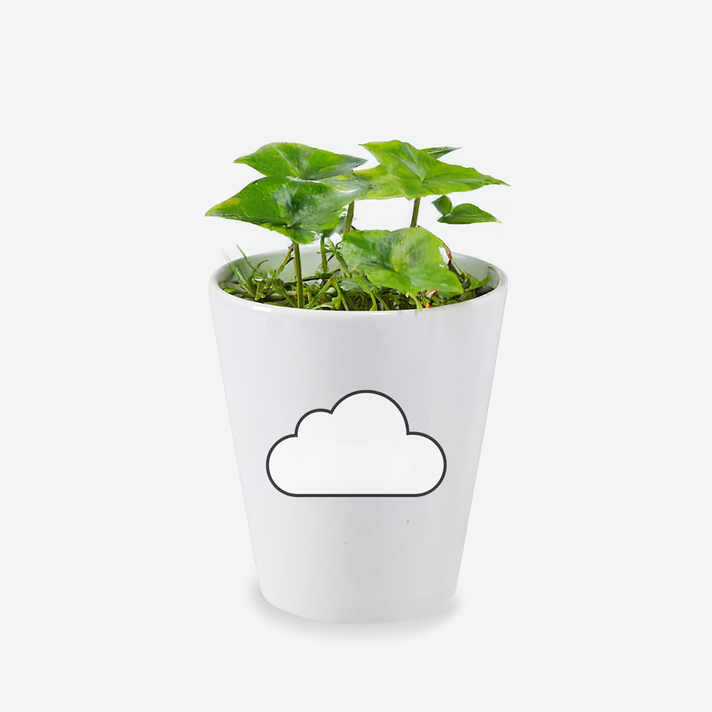 Cloud Ceramic Flower Pot