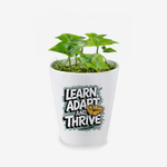 Learn, Adapt And Thrive Quote Ceramic Flower Pot