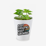 Keep Evolving. Keep Growing Quote Ceramic Flower Pot