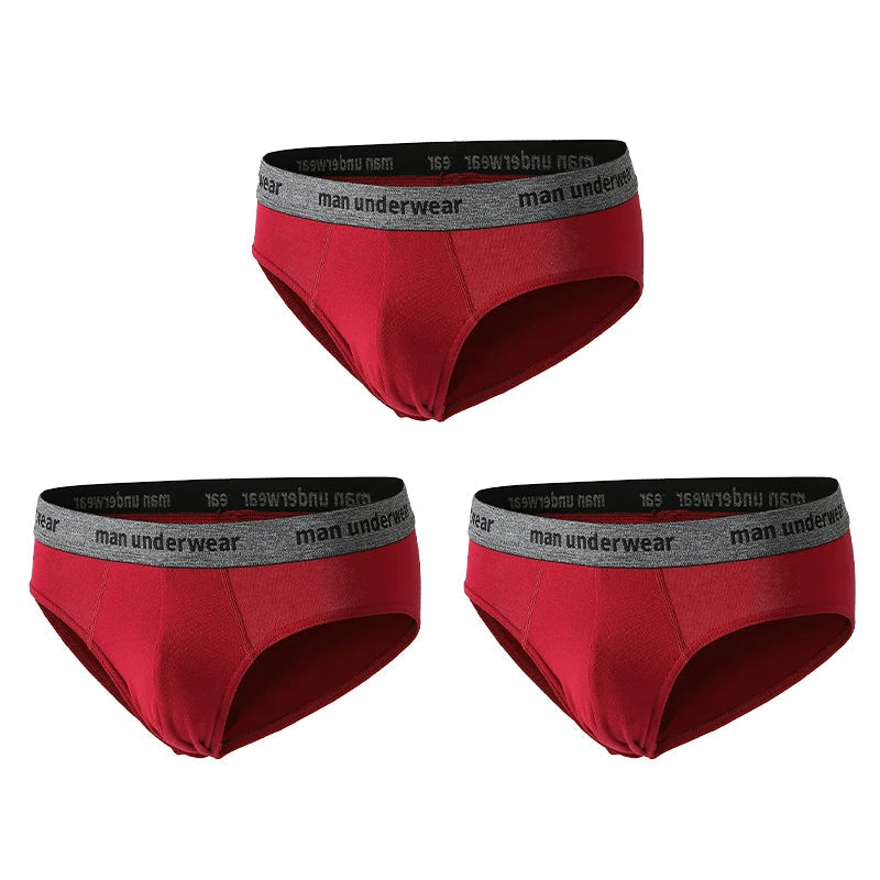 Cardinal Haven 3 Pcs Cotton Mens Briefs | Hypoallergenic - Allergy Friendly - Naturally Free
