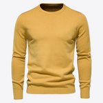 Citrus Lemon Long Sleeve Mens Sweater | Hypoallergenic - Allergy Friendly - Naturally Free