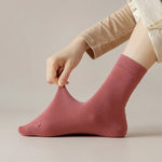 Fall Foilage 3 Pcs Solid Cotton Womens Socks | Hypoallergenic - Allergy Friendly - Naturally Free