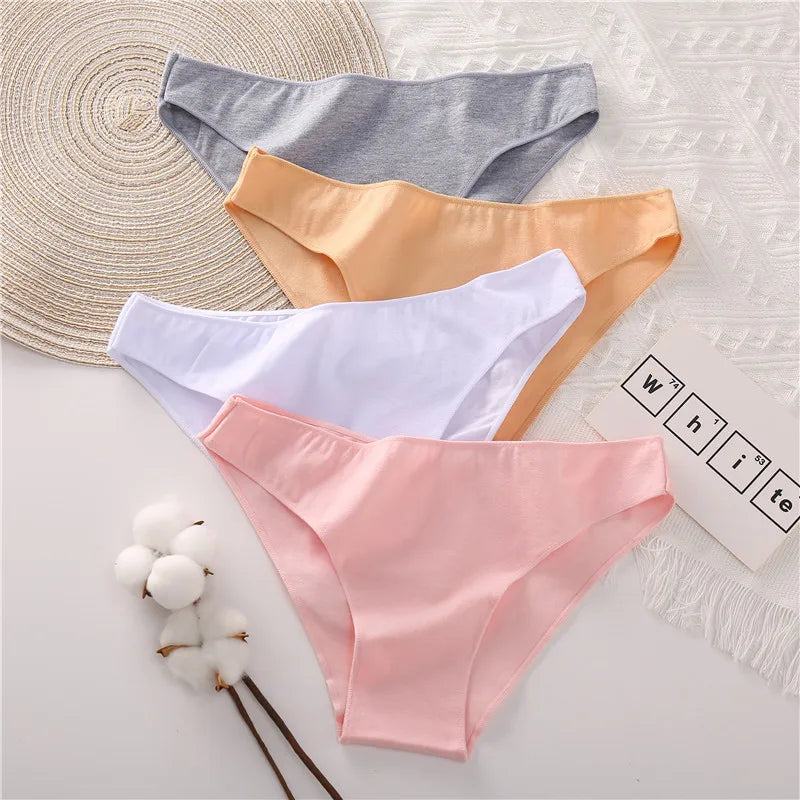 Pastel Horizons 4Pcs Cotton Womens Underwear