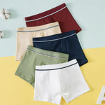 5Pcs Cotton Boys Boxer Shorts