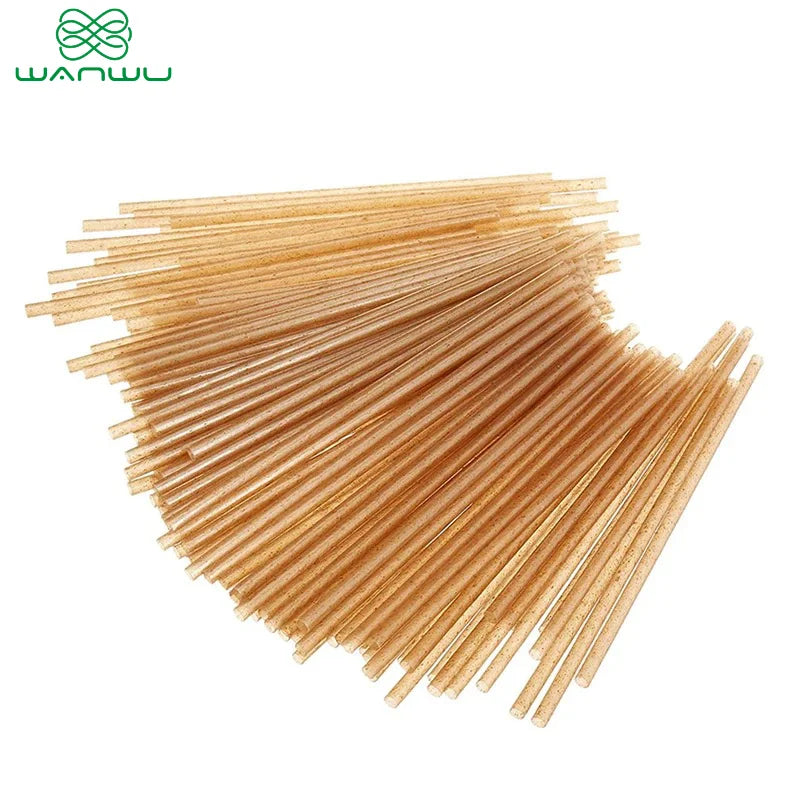 Healthy Eats Biodegradable Disposable Sugarcane Straws