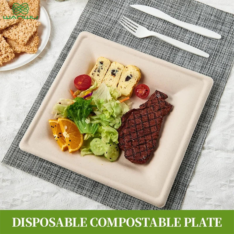 Healthy Eats 50-Pack Square Disposable Biodegradable Sugarcane Paper Plates