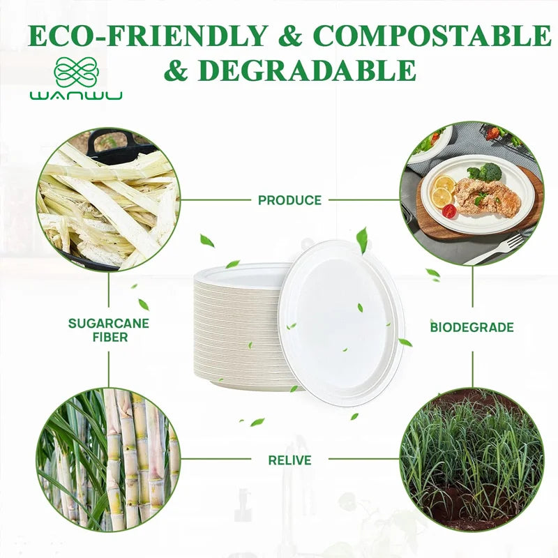 Healthy Eats 50-Pack Round Biodegradable Sugarcane Paper Plates for BBQ, Parties, Dinner, and Picnics