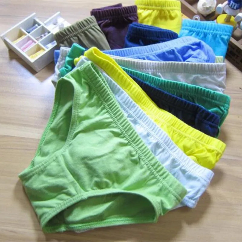 12pcs Cotton Boys Underwear