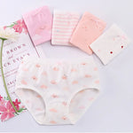 Spring Garden 4Pcs Cotton Girls Panties