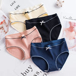 Blueberry Garden 4 Pcs Cotton Maternity Underwear