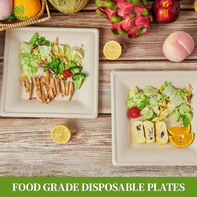 Healthy Eats 50-Pack Square Disposable Biodegradable Sugarcane Paper Plates