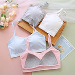 Spring Harvest Padded Cotton Girls Bra