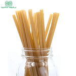 Healthy Eats Biodegradable Disposable Sugarcane Straws