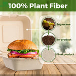 Healthy Eats 50-Pack Biodegradable Flip Top Sugarcane Food Containers