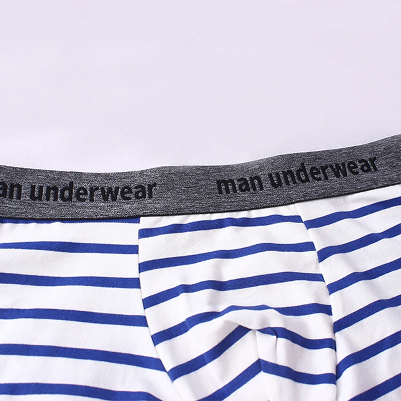 Jolly Hues Stripes Cotton Mens Boxer Briefs