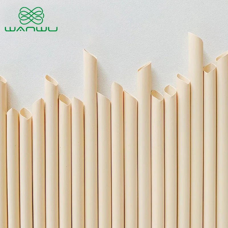 Eco-Friendly Biodegradable and Compostable ，Convenient Bamboo Fiber Straws for Drinks, Perfect for Parties ，210mm，50pack