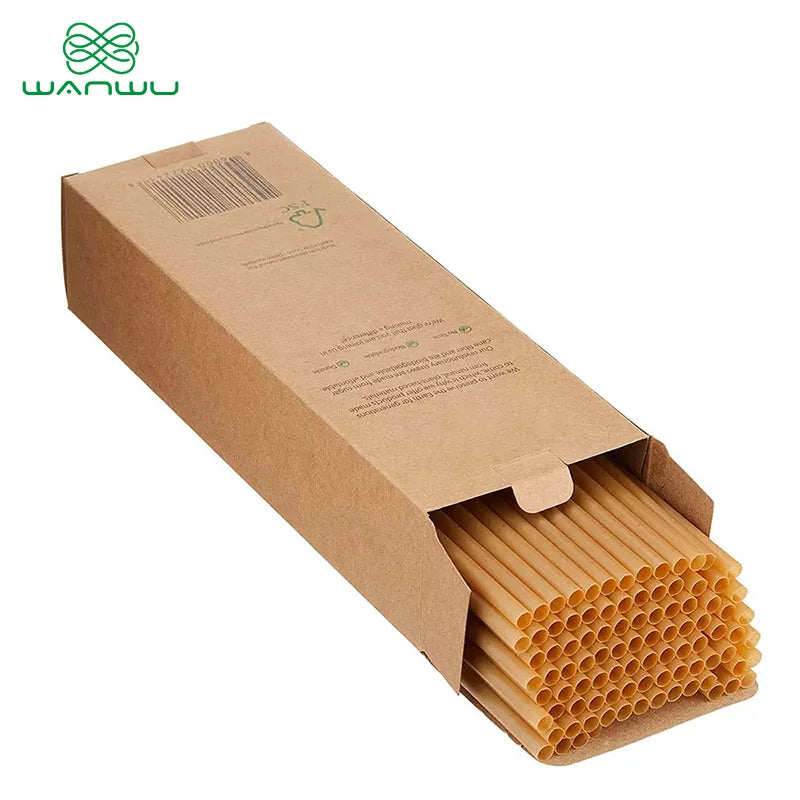 Healthy Eats Biodegradable Disposable Sugarcane Straws