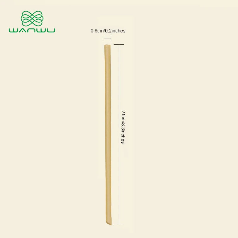 Healthy Eats Biodegradable Disposable Sugarcane Straws